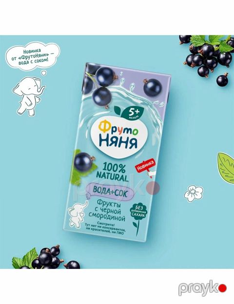 Şirə ФрутоНяня, Qara qarağat, 5 ay, 0.2 L — Bakı