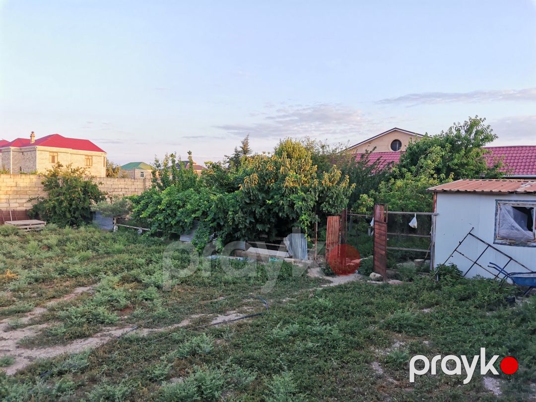 Satılır torpaq 6 sot — Torpaq, Şirvan (11)