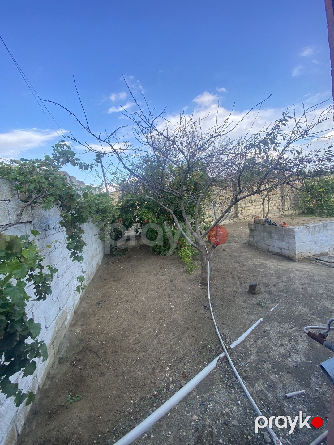 Satılır 3 otaqlı həyət evi/bağ evi 100 m² — Ev, villa, Bakı (6)
