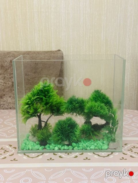 Akvarium dekorları ilə birlikdə — Bakı