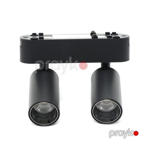 Ray spotu TL3006C-10WDC48-SL-G2 2 sparkled 10W 4000K maqnitli — Bakı
