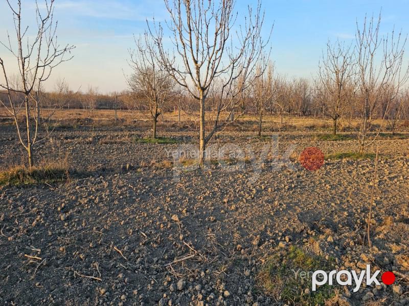 Satılır Torpaq sahəsi, 24 sot, Xaçmaz — Torpaq, Xaçmaz (7)