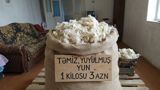 Məhsul: Təmiz, yuyulmuş yun - Təbii qoyun yunu, yuyulmuş və kirlərdən — Seymur Sevinc