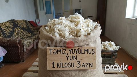 Məhsul: Təmiz, yuyulmuş yun - Təbii qoyun yunu, yuyulmuş və kirlərdən — Digah