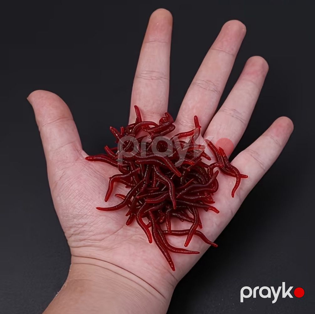 Silikon qurd, universal, 300x40 mm — Mallar, Bakı (3)