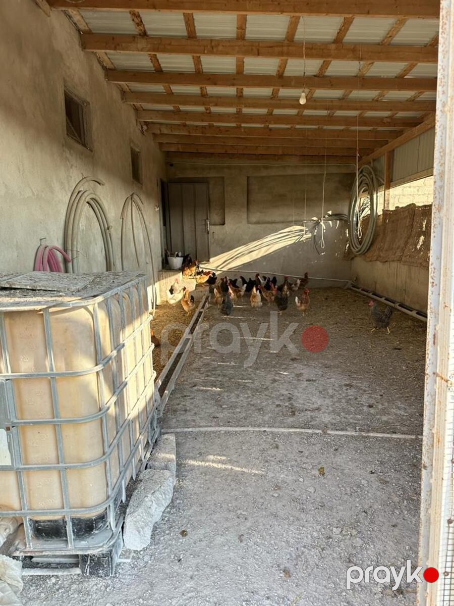 Satılır obyekt 20000 m² — Əmlak, Bakı (8)