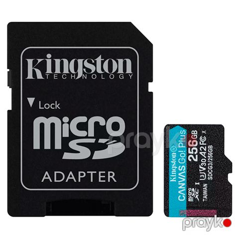 Kingston Canvas Go Plus microSD 256GB SDCG3/256GB-N Black — Bakı