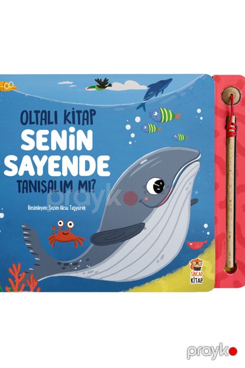 Senin Sayende - Tanışalım mı? — Bakı
