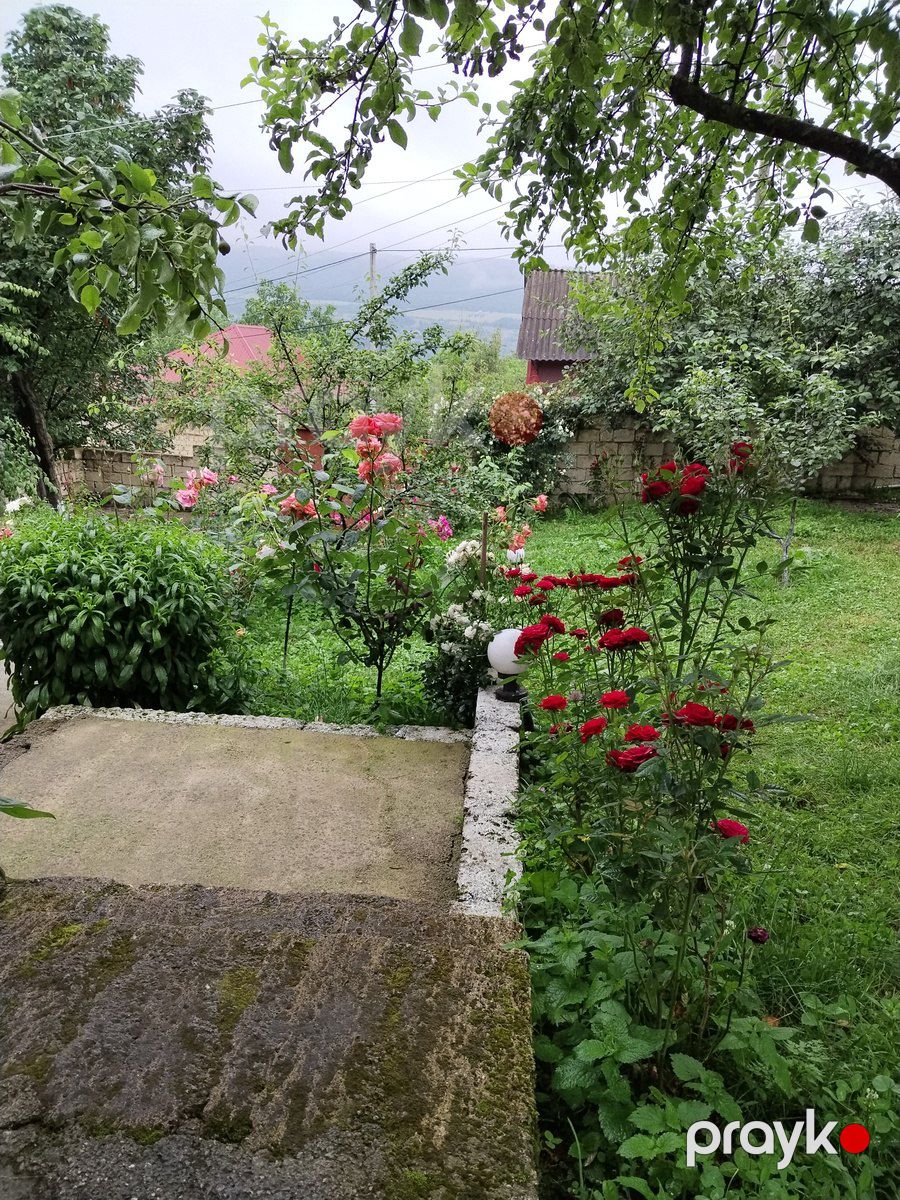 Bağ evi kirayə verilir, Quba r — Ev, villa, Quba (10)