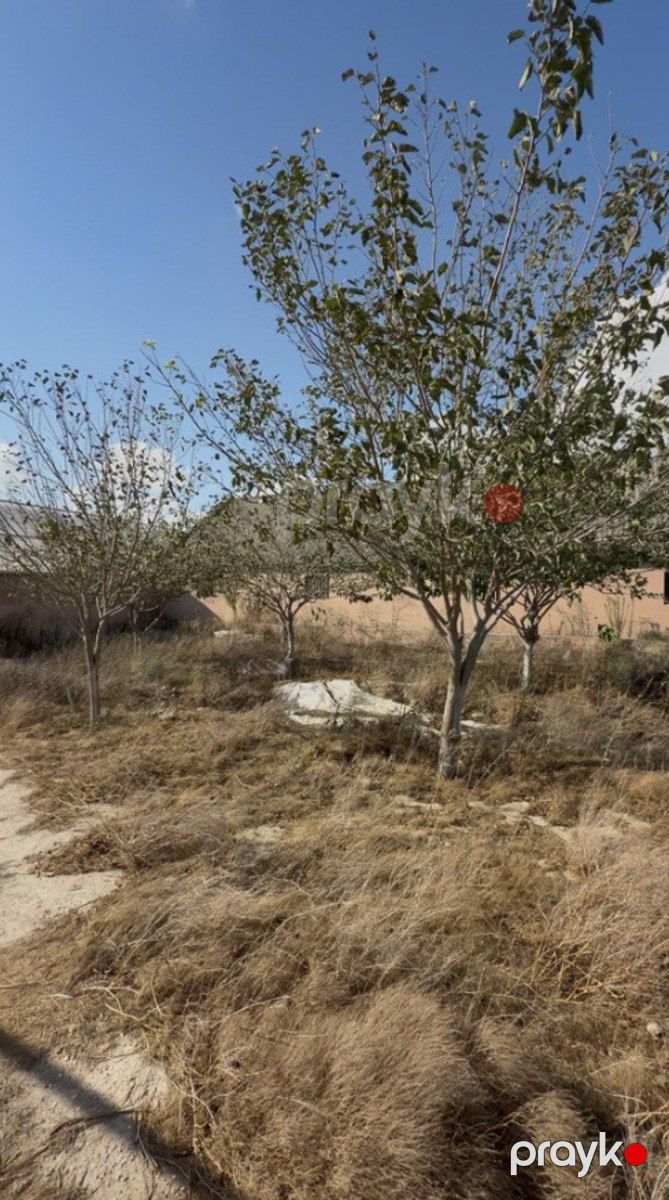 Satılır obyekt 400000 m² — Əmlak, Bakı (6)