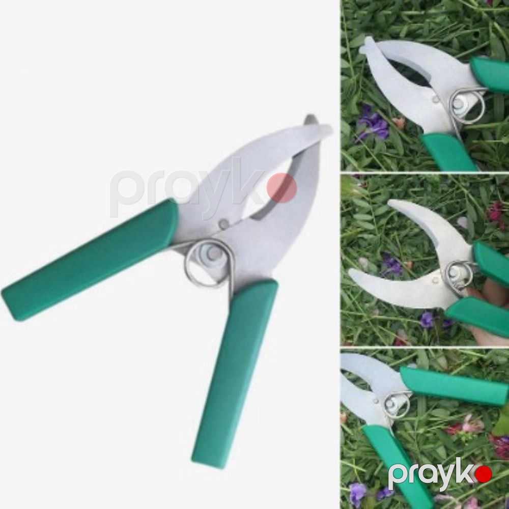 Bağban qayçısı - prm_018 — Mallar, Bakı (4)