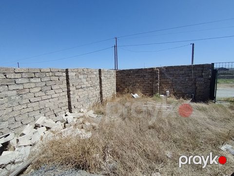 3 sot, Mülkiyyətçi, Kupça (Çıxarış) — Digah