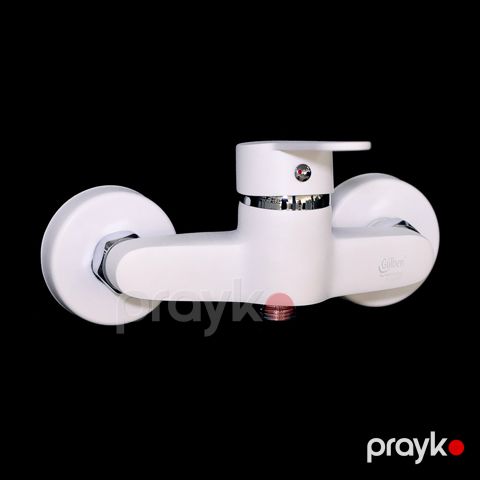 Gülben suqarışdırıcı (smesitel) BLY8B dıvar üçün