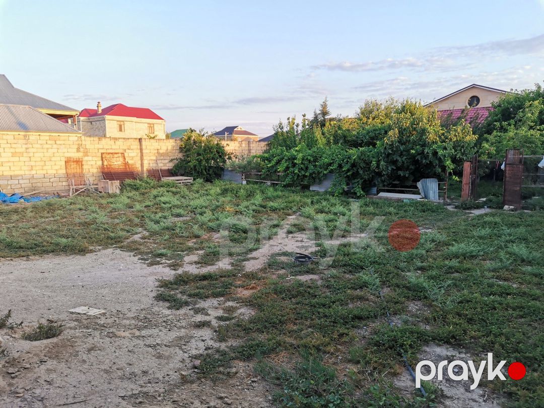 Satılır torpaq 6 sot — Torpaq, Şirvan (3)