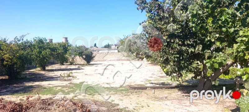 12 sot Torpaq, Satış, Bakı, Sabunçu, Koroğlu — Torpaq, Bakı (4)