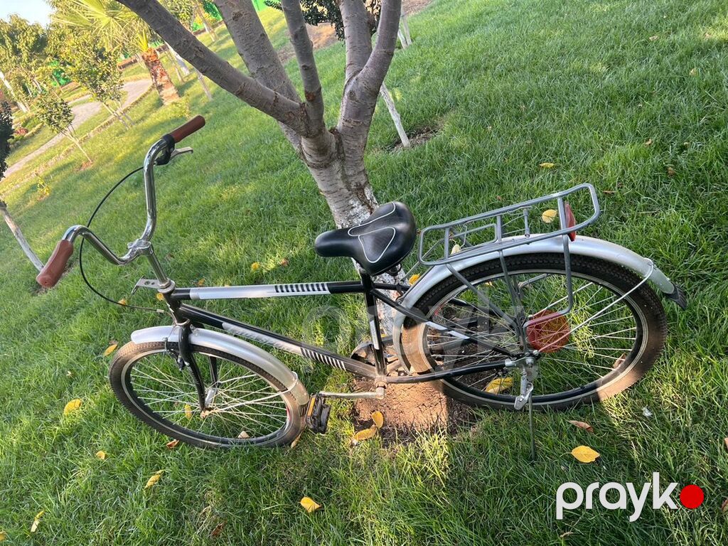 Şəhər kruizer tipli velosiped - Model: LAD-Sport (korpus üzərində — Yol velosipedləri, Bakı (4)