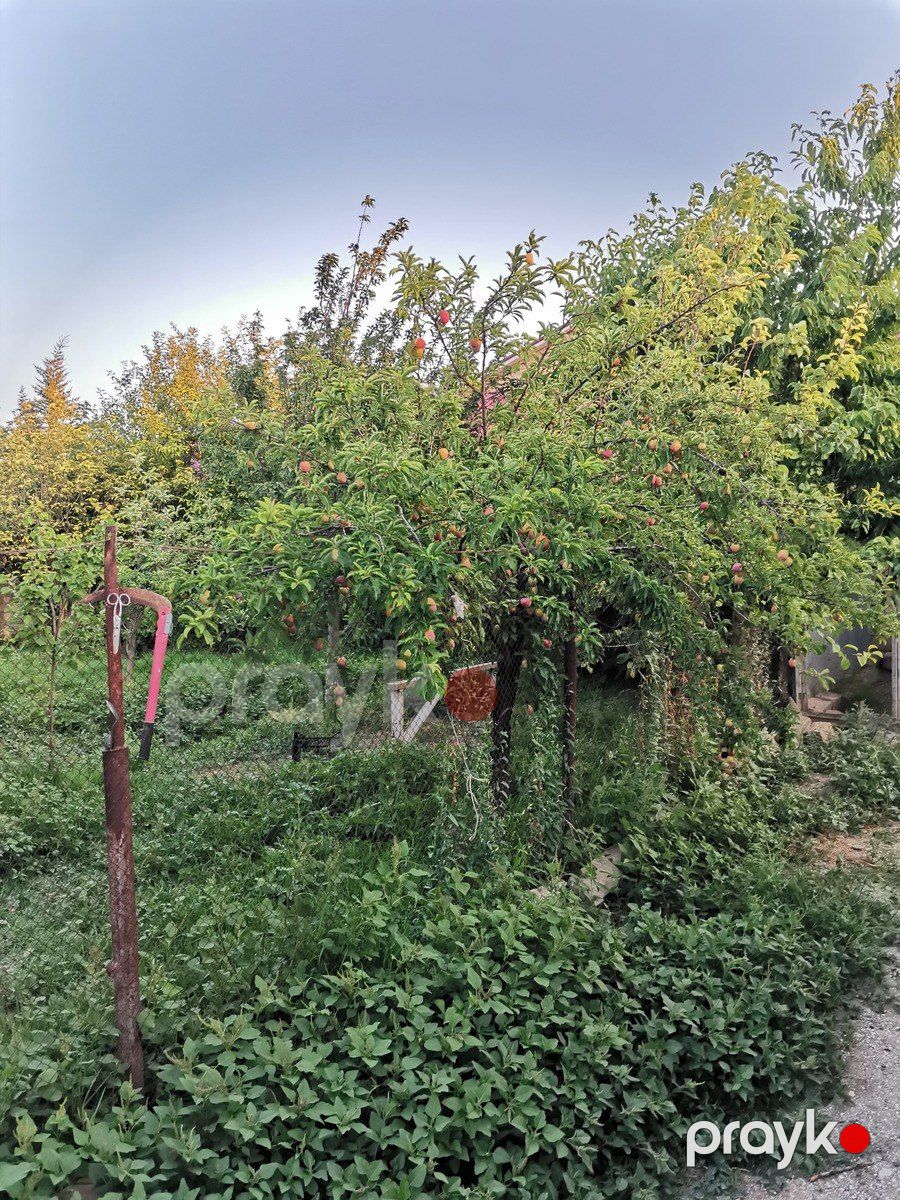 Satılır torpaq 6 sot — Torpaq, Şirvan (12)