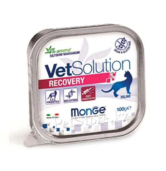 Monge Vet Soulution Recovery pişiklər üçün yüksək qidalı bərpaedici pəhrizdir, 100 qram — Zoo.az — Cats