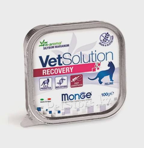 Monge Vet Solution Recovery, pişiklər üçün yüksək qidalı bərpaedici pəhriz, 100 q — Cats
