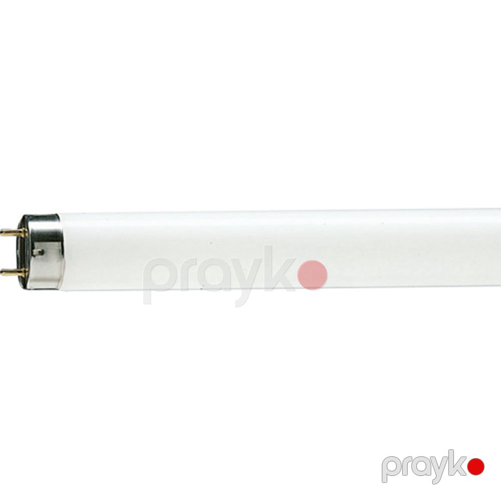 Phılıps tl-d 18W snow whıte 1SL/25 — İşıqlandırma, Bakı (2)