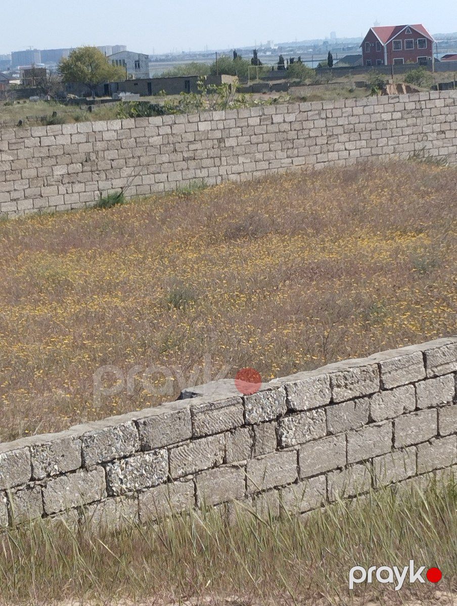 Satılır torpaq 11 sot — Torpaq, Bakı (4)