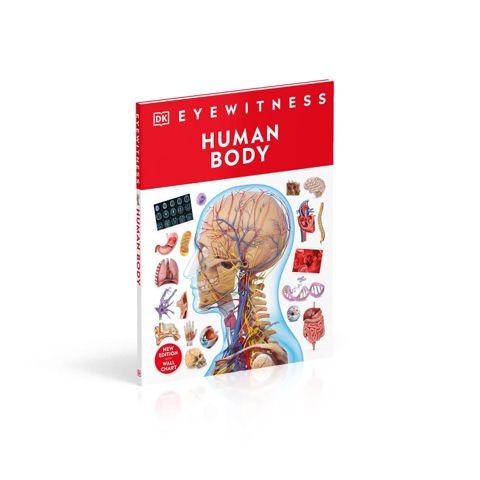 Human Body - Eyewitness — Bakı