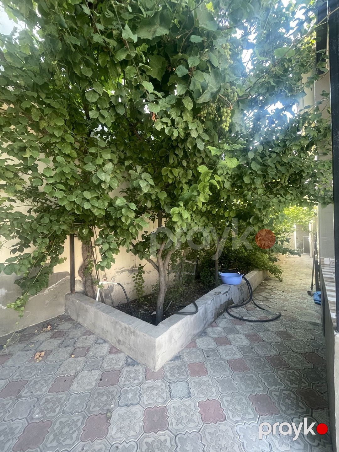 Satılır 3 otaqlı həyət evi/bağ evi 100 m² — Ev, villa, Bakı (3)