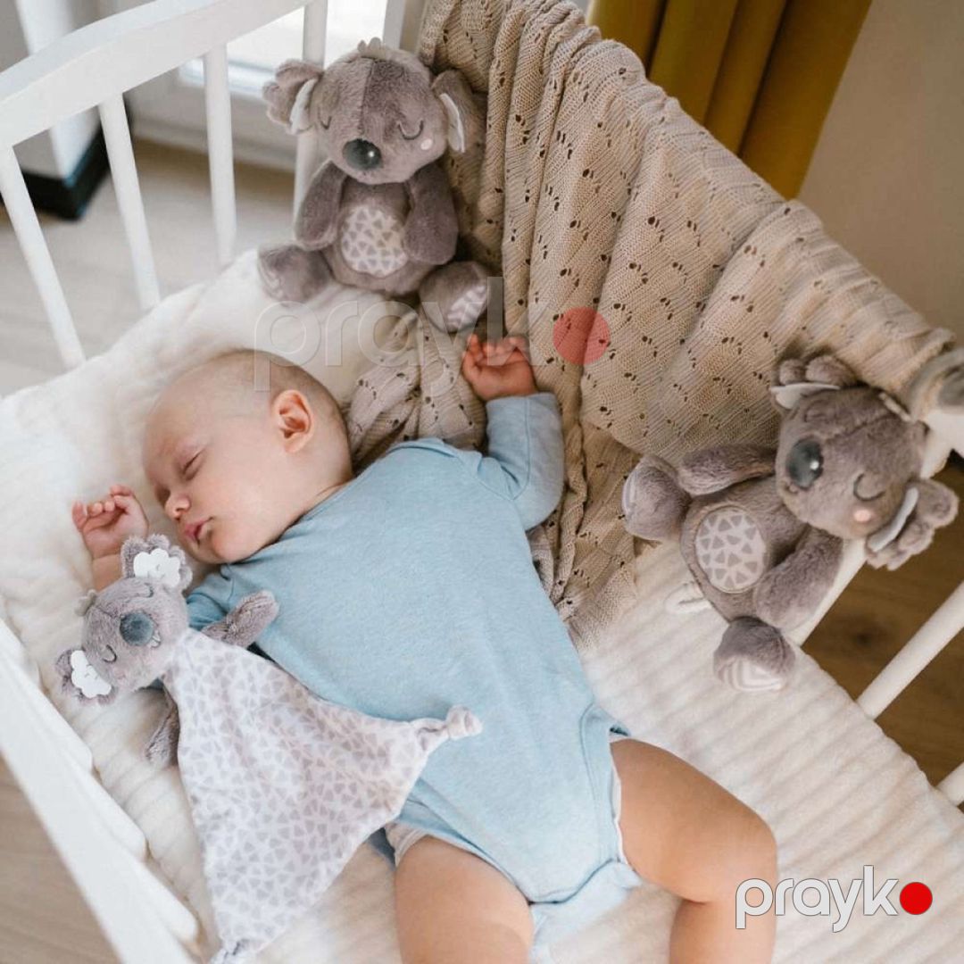 Qucaqlama oyuncağı Babyono 1635, poliester, 20х25 sm — Mallar, Bakı (5)