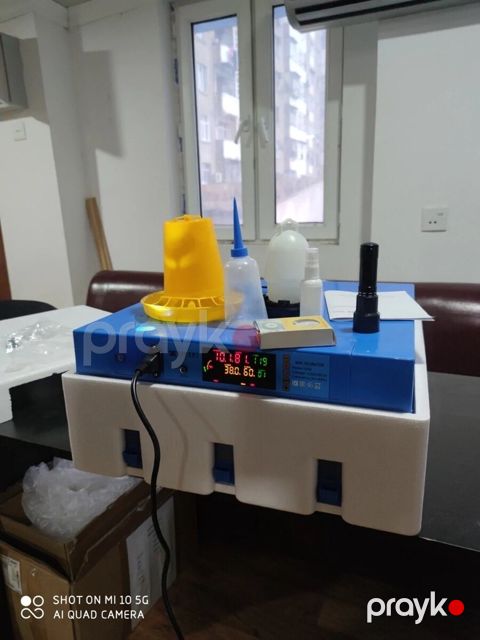 İnkubator "Expert" — Bakı