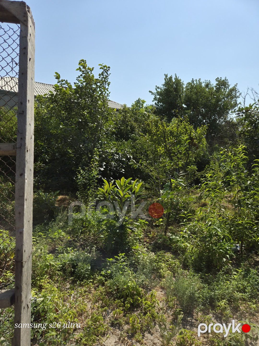 Satılır torpaq 4.5 sot — Torpaq, Sumqayıt (6)