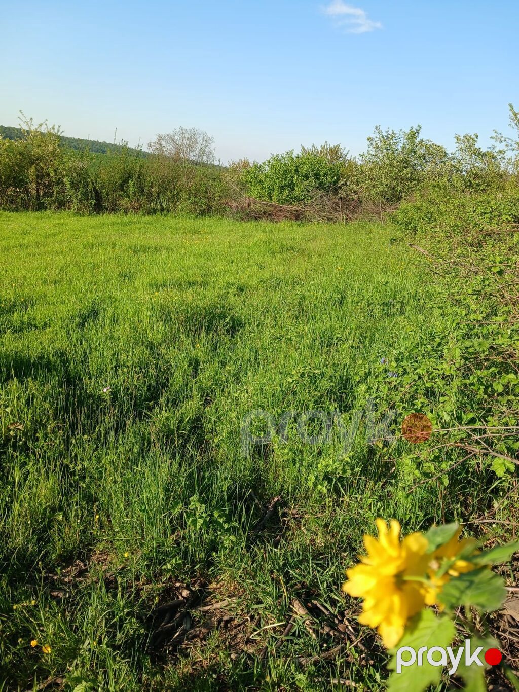 12 sot, Mülkiyyətçi, Kupça (Çıxarış) — Torpaq, Qusar (2)