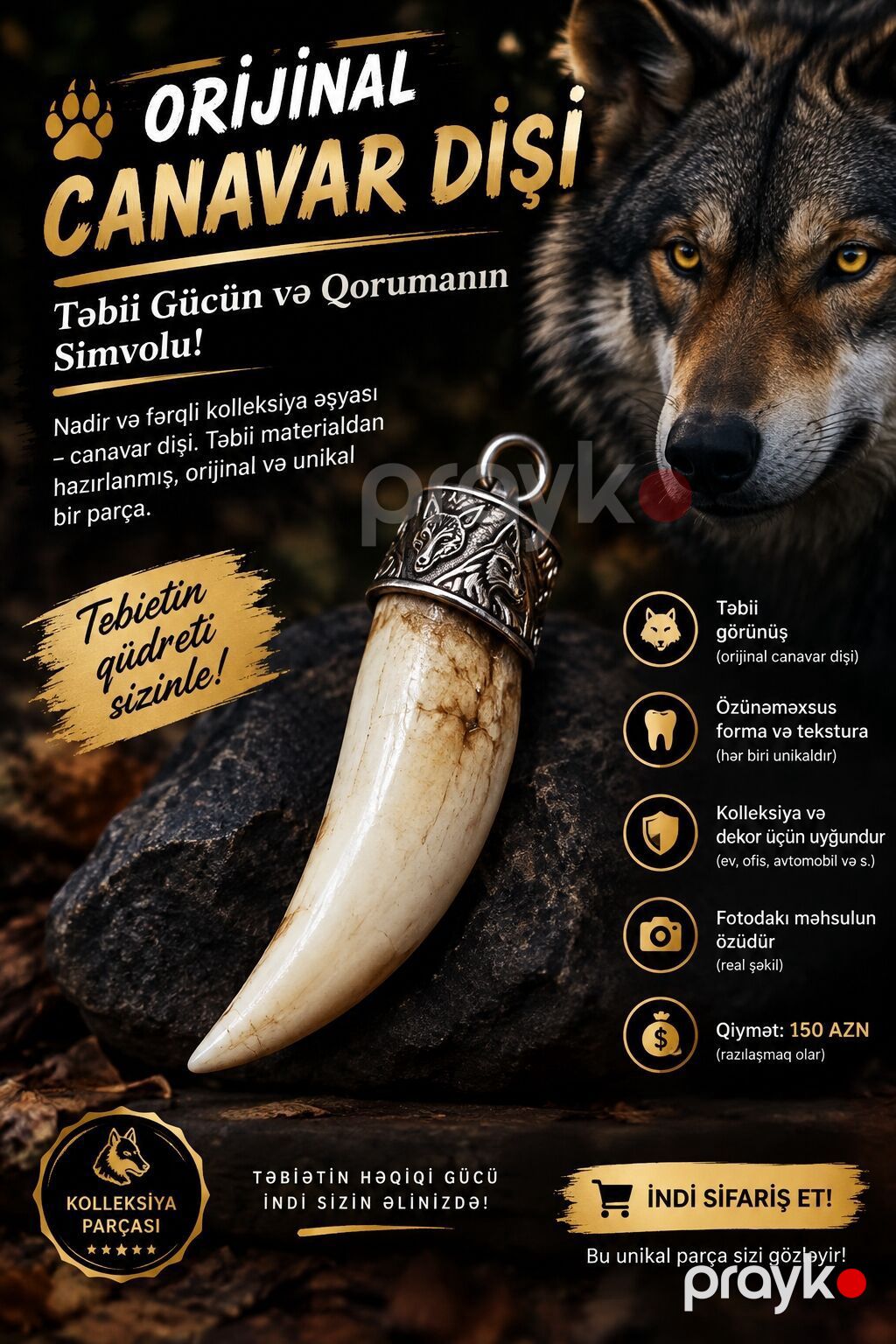 Məhsul: Orijinal canavar dişi – təbiətin gücü və qorunmanın simvolu — Digər, Gəncə (2)