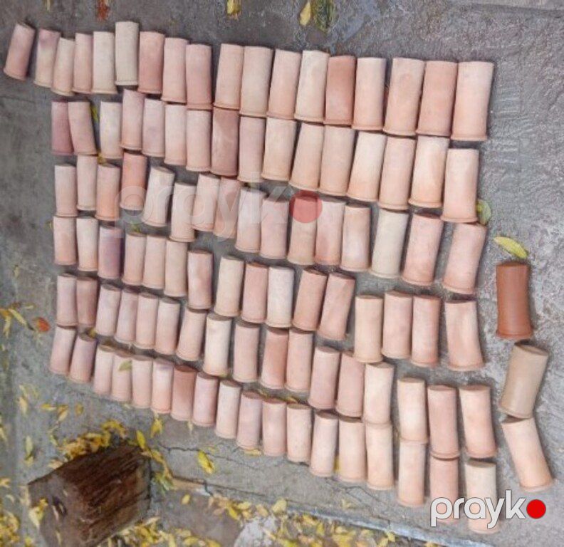 Ançistrus yuvası — Akvariumlar və balıqlar, Bakı (2)