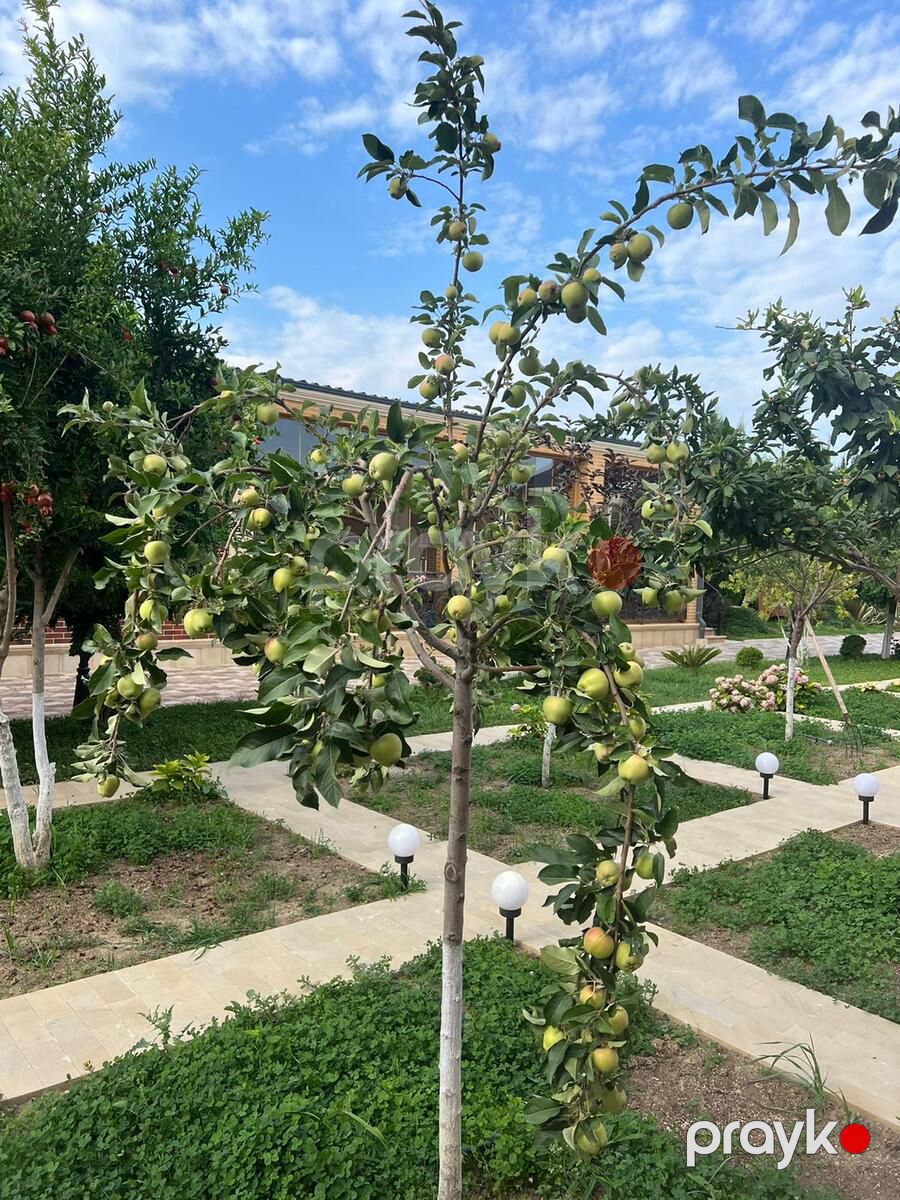 Satılır 8 otaqlı həyət evi/bağ evi 680 m² — Ev, villa, Bakı (9)