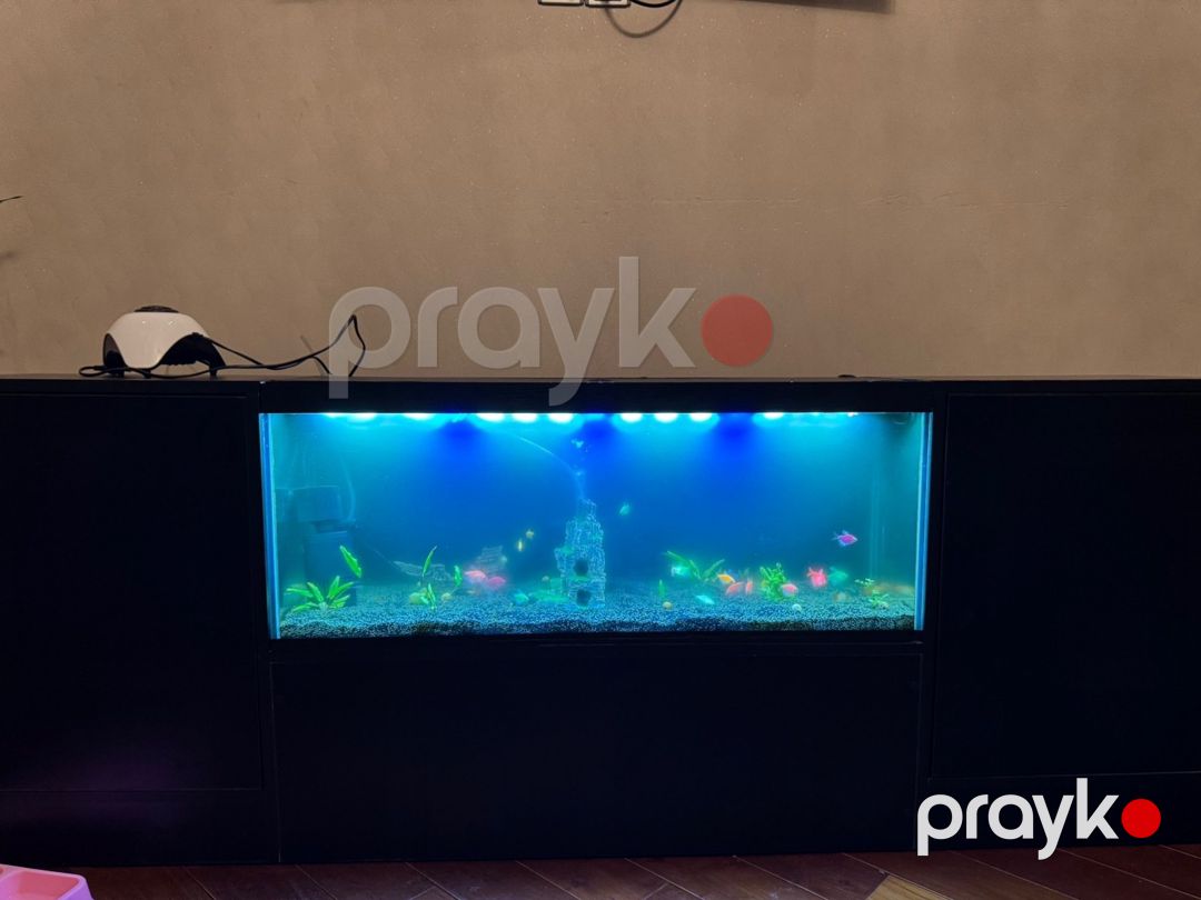 Akvarium TV stendi — Akvariumlar və balıqlar, Bakı (5)