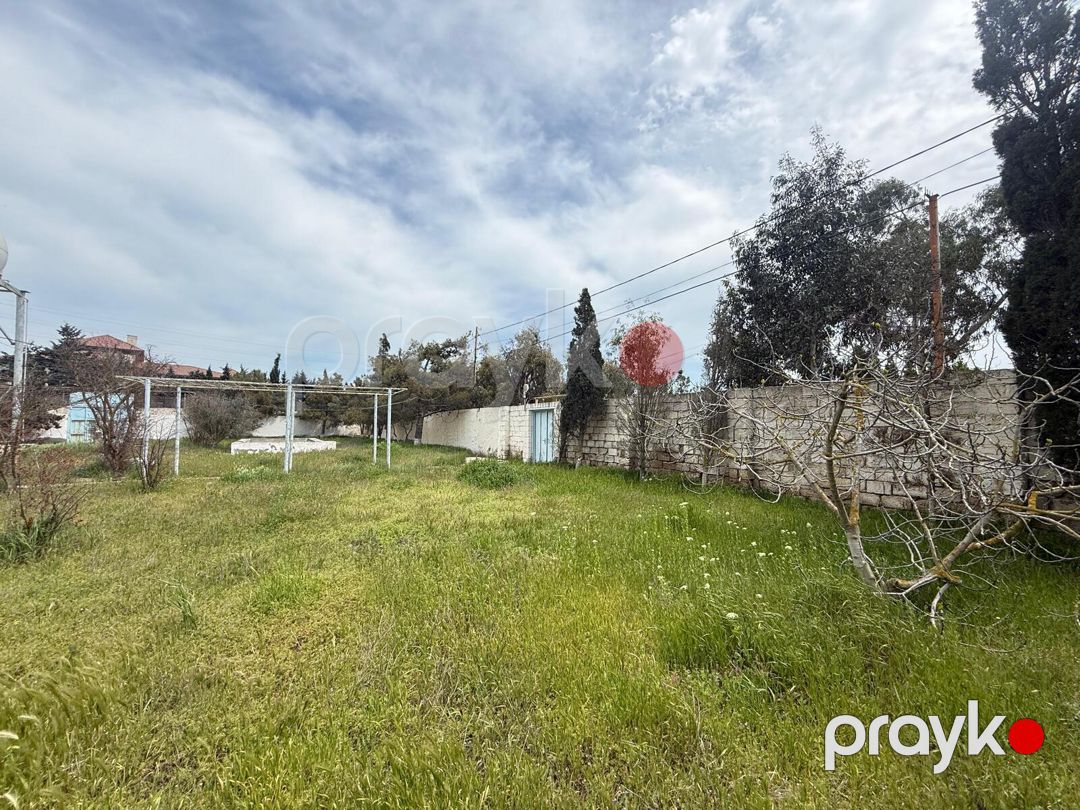 Satılır torpaq 14 sot — Torpaq, Bakı (6)