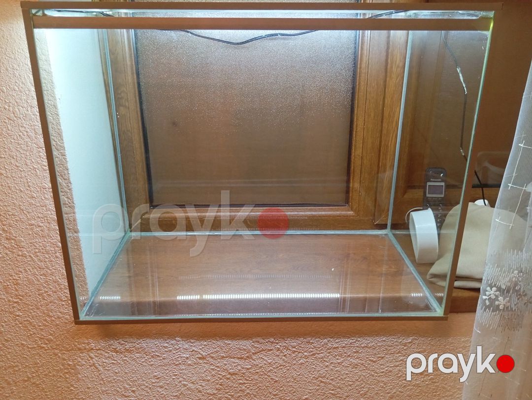 Akvarium — Akvariumlar və balıqlar, Bakı (2)