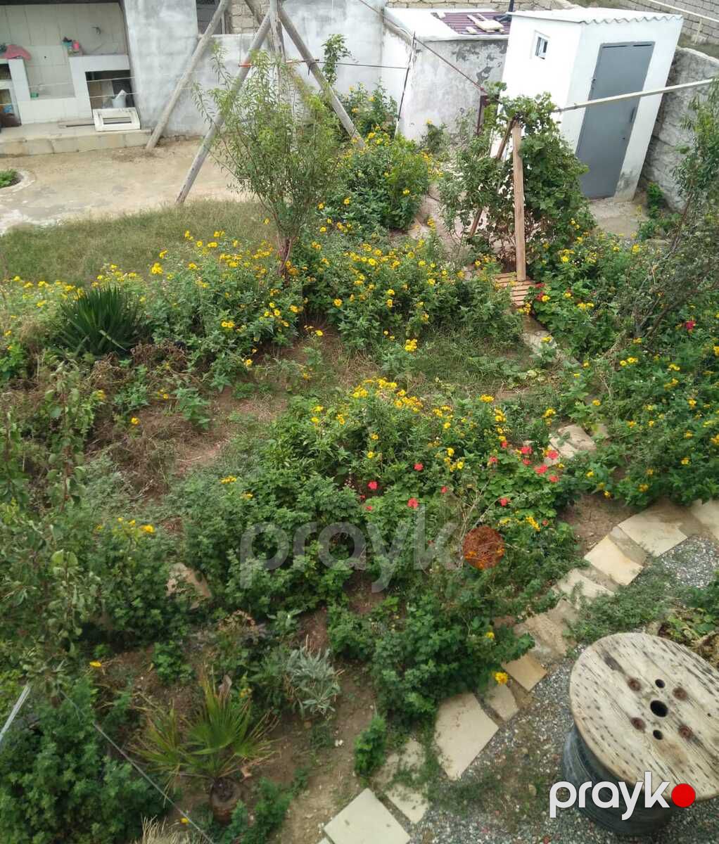 İcarəyə verilir 3 otaqlı həyət evi/bağ evi 109 m² — Ev, villa, Bakı (12)
