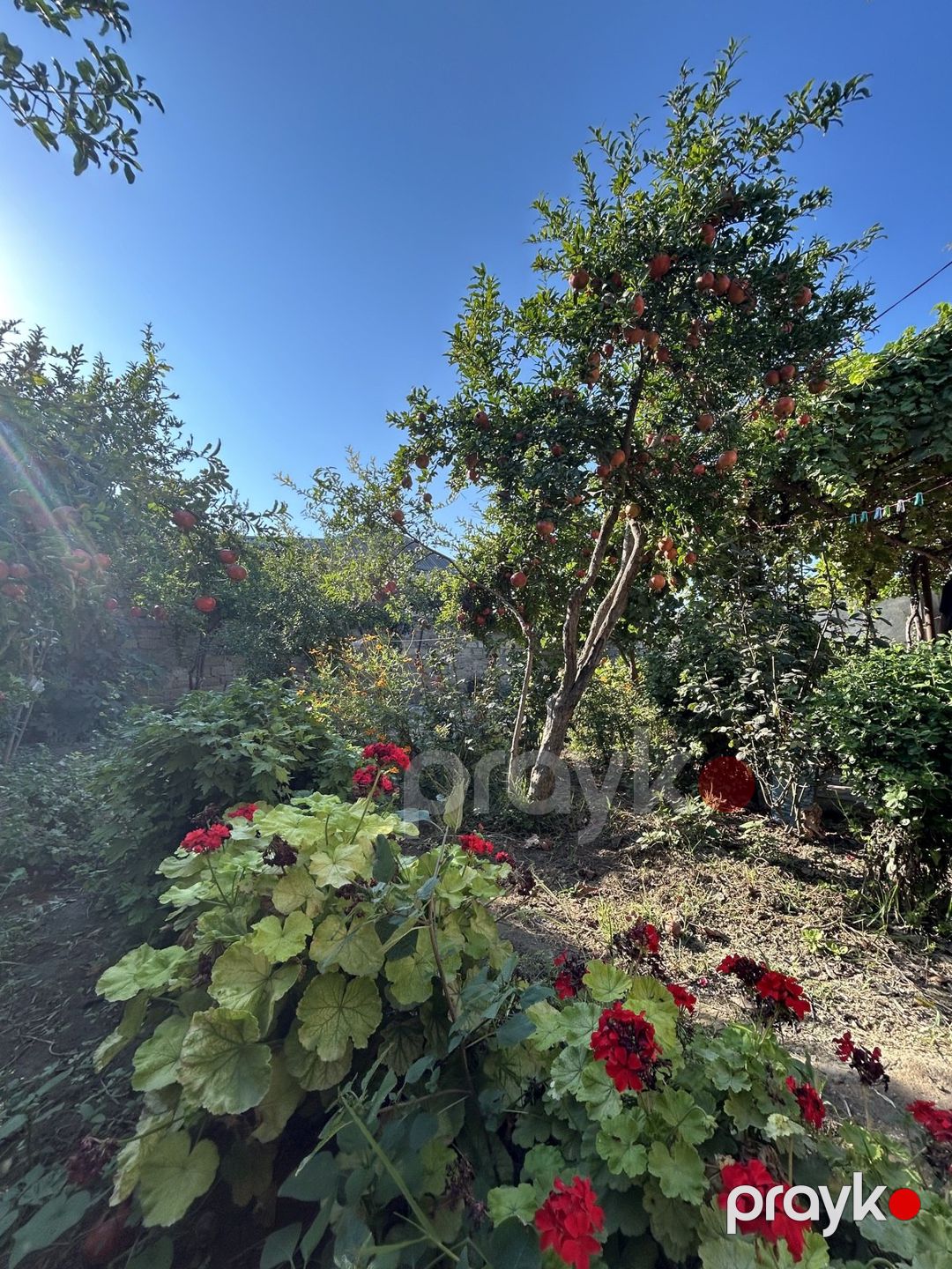 Satılır 3 otaqlı həyət evi/bağ evi 90 m² — Ev, villa, Bakı (7)