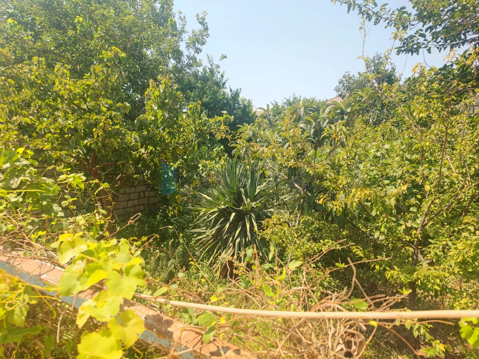 Satılır: 4 Otaq, Evlər/Villalar, 200.00 m² — Ev, villa, Sumqayıt (11)