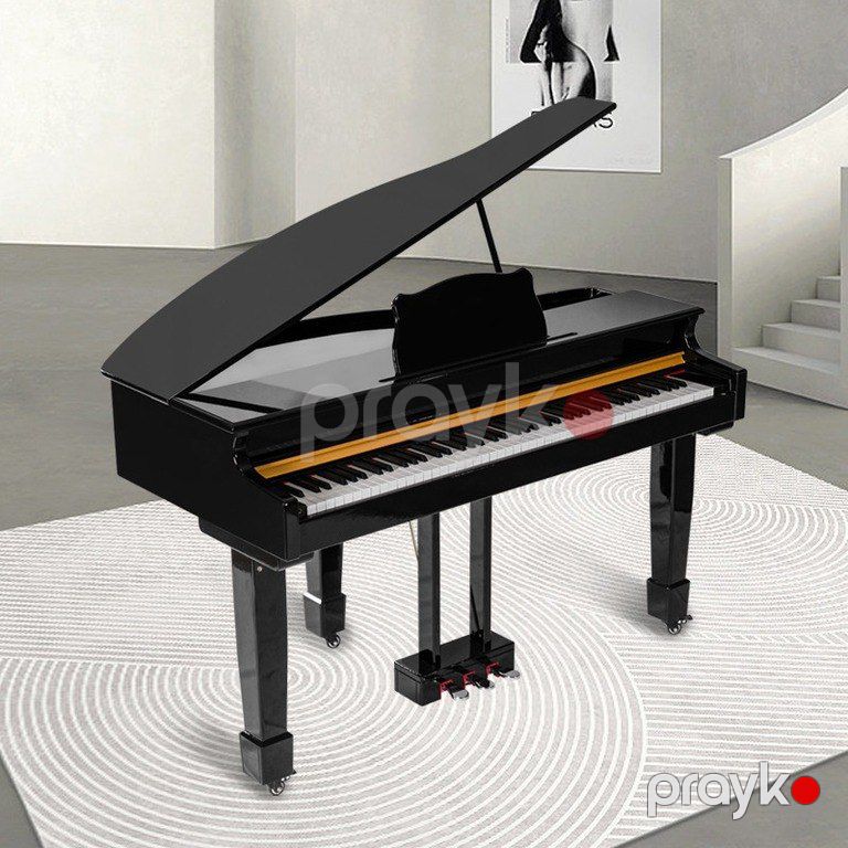 Elektro royal — Musiqiə alətləri, Bakı (2)
