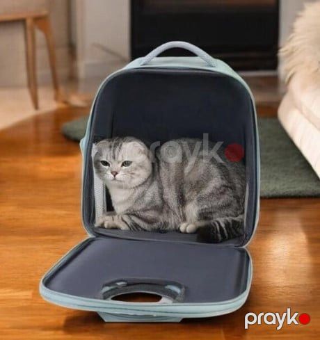 Daşıyıcı çanta Kitty, pişiklər üçün, mavi prl_0079 — Mallar, Bakı (2)