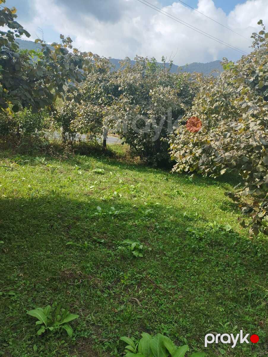 Satılır torpaq 20 sot — Torpaq, Qax (10)
