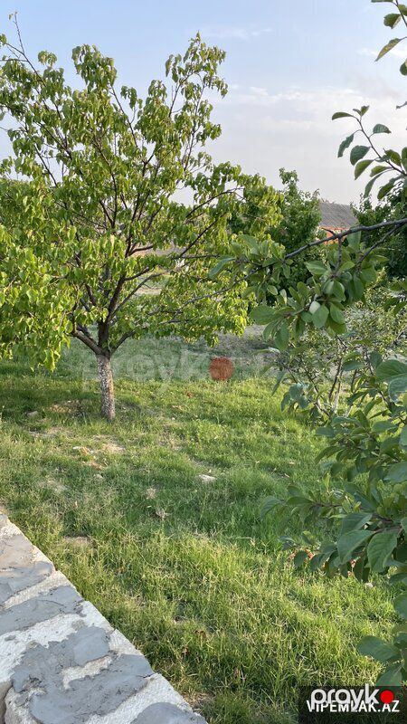 Abşeron rayonunda Torpaq Satılır, 10 sot — Torpaq, Bakı (7)