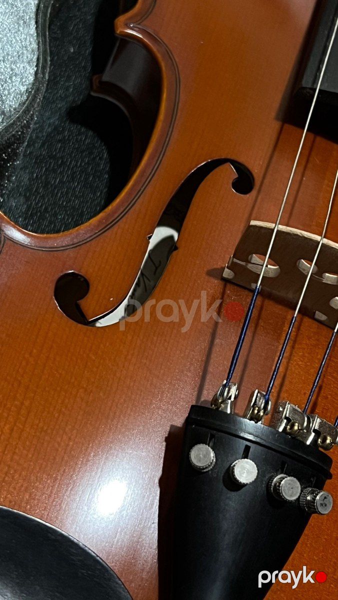 Skripka Yamaha — Musiqiə alətləri, Şirvan (3)