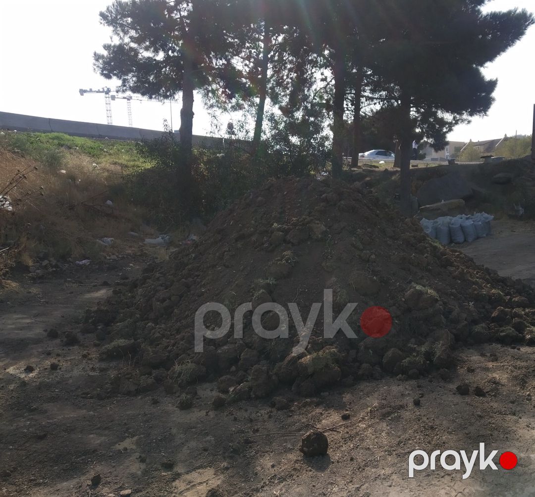 Qara torpaq və peyin — Dacha və bağ, Bakı (9)