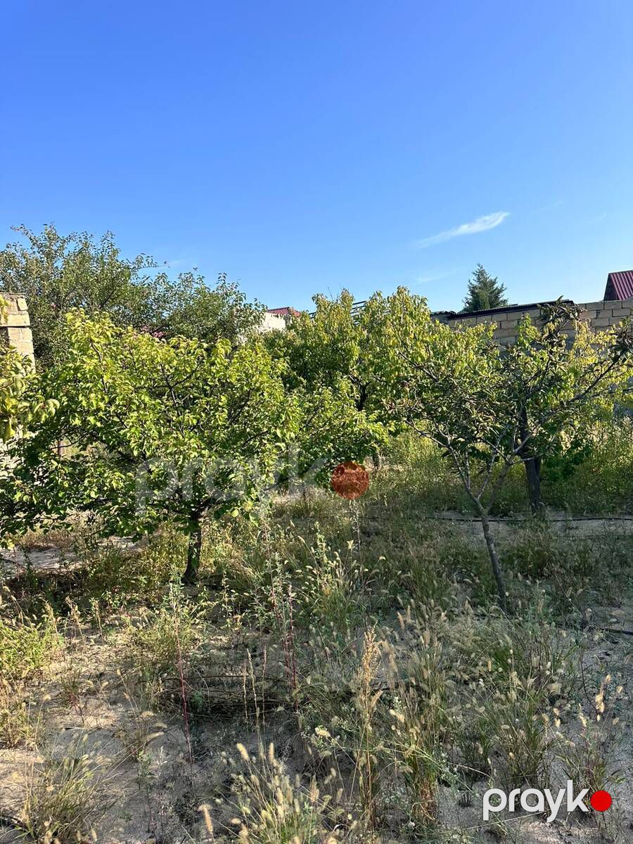 2 sot torpaq sahəsi, Novxanı bağları — Torpaq, Bakı (3)