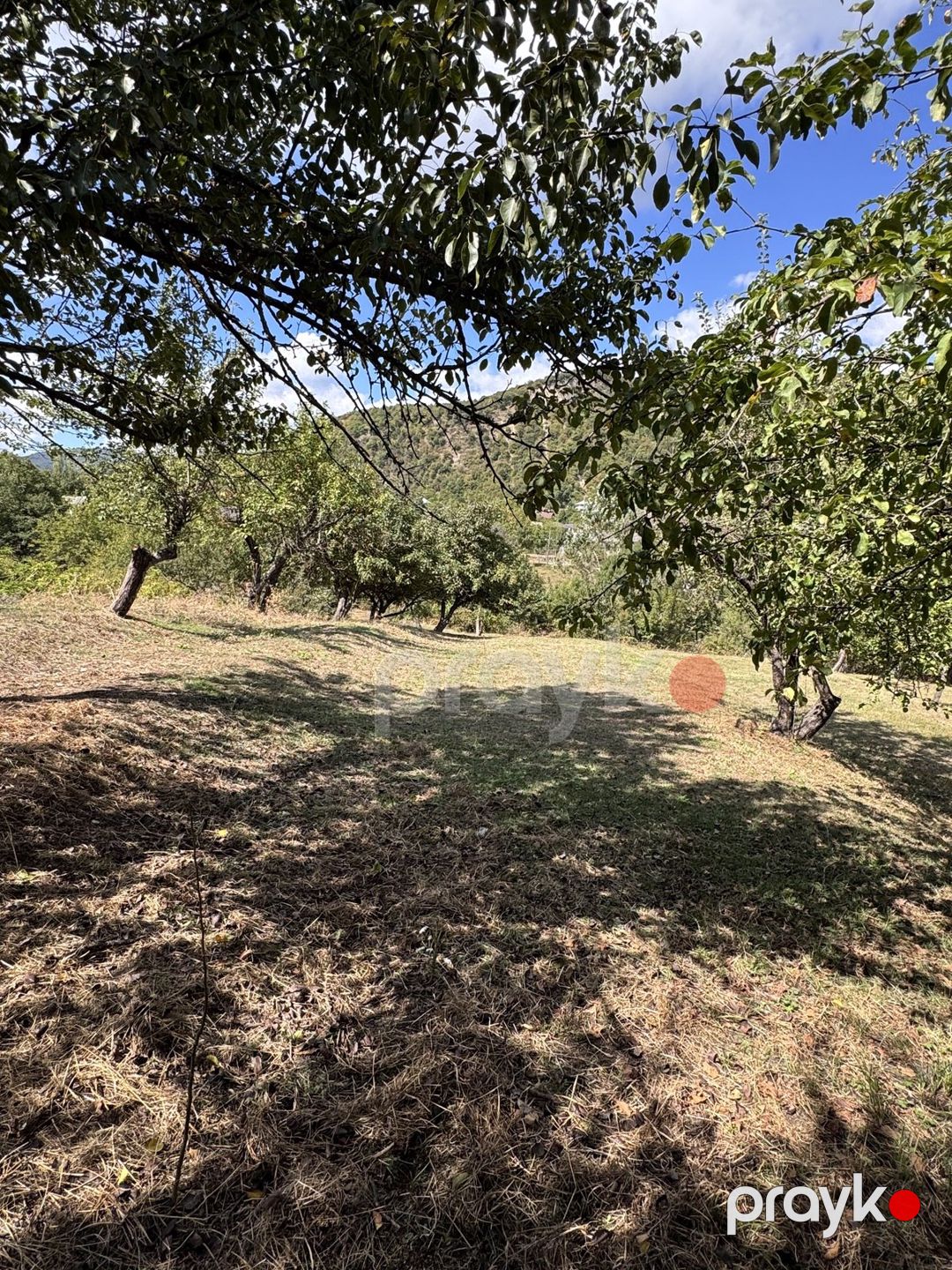 Satılır torpaq 27 sot — Torpaq, İsmayıllı (4)