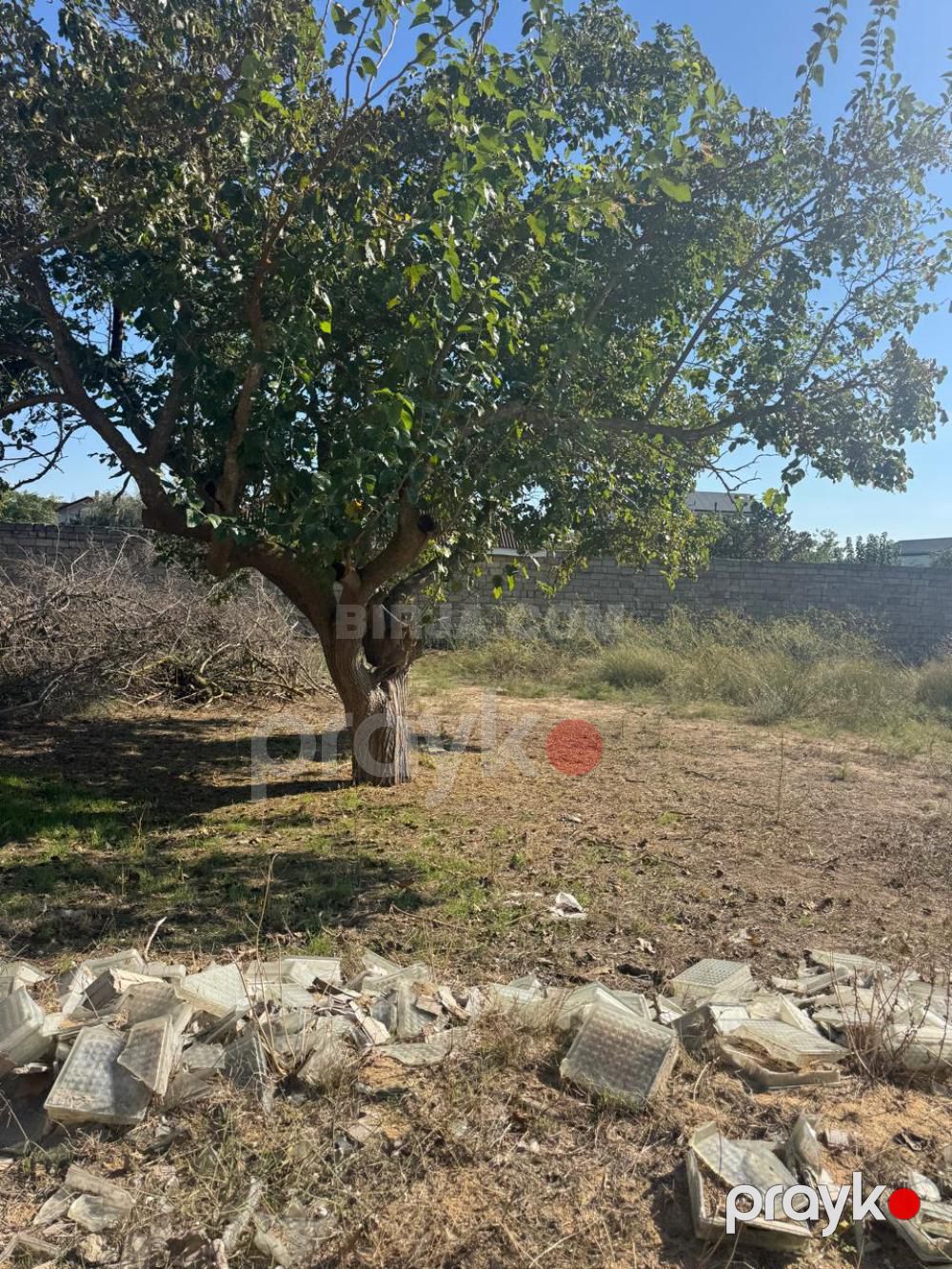 Bilgəhdə torpaq satılır — Torpaq (8)