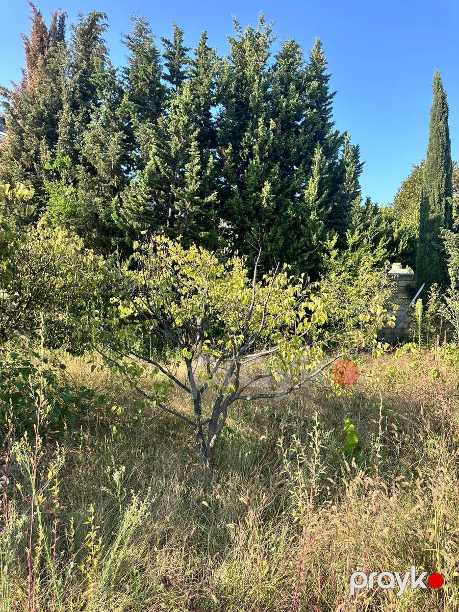 3 sot torpaq sahəsi, Novxanı qəs — Torpaq, Bakı (10)